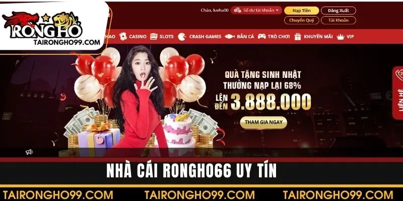 Nhà cái RONGHO66 là một trang web uy tín hàng đầu hiện nay