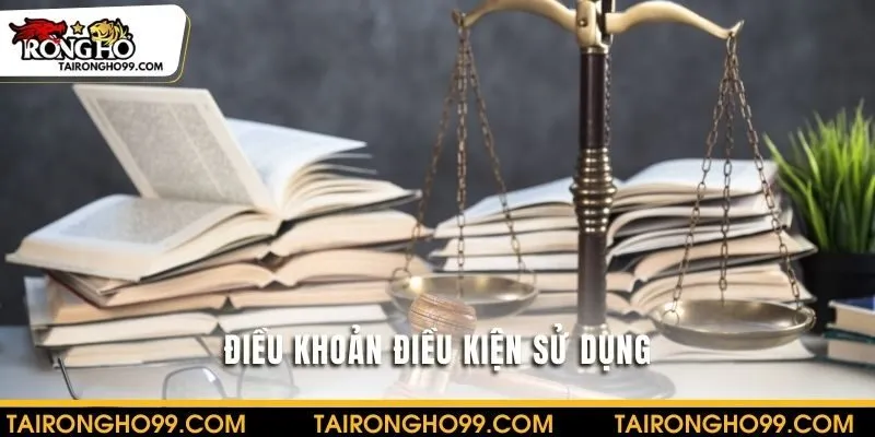 Điều khoản điều kiện sử dụng của RONGHO66