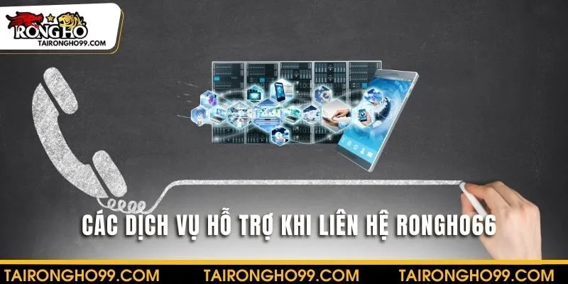 Dịch vụ hỗ trợ khi liên hệ RONGHO66